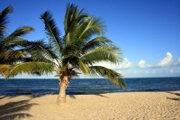 /album/belize/belize-1l-jpg/