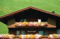 /album/austria/austria-2a-jpg/