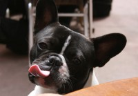 /album/lussemburgo/lussemburgo-1b-billo-jpg/