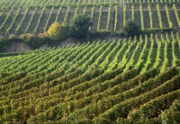 /album/lussemburgo/lussemburgo-1oo-valle-della-jpg/