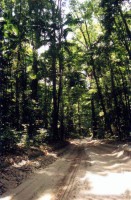 /album/australia/australia-2h-jpg/