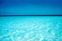 /album/maldive/maldive-1f-jpg/