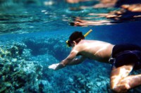 /album/maldive/maldive-1l-jpg/