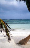 /album/messico/messico-3e-jpg/