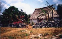 /album/messico/messico-3g-jpg/