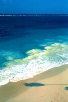 /album/messico/messico-3m-jpg/