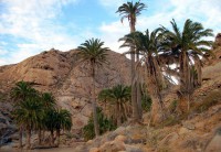 /album/canarie/fuerteventura-paysage-jpg/