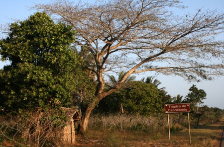 Tropico del Capricorno - Morumbene 