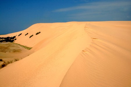 dune - isola di Bazaruto