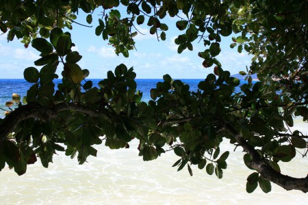 Praslin Island - Anse Georgette