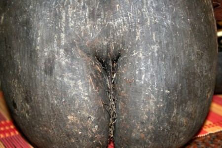 il favoloso coco-de-mer