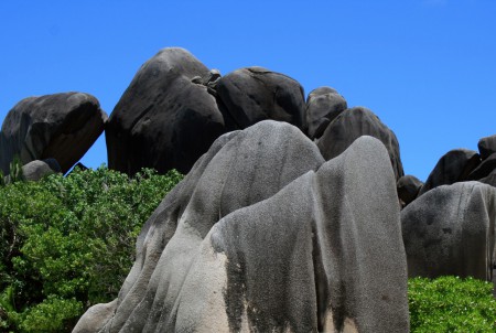 entroterra di Anse Source d'Argent, La Digue 