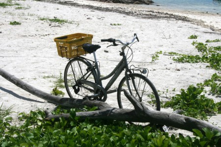 comune mezzo di trasporto di La Digue