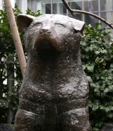 Tokyo - la statua di Hachiko a Shibuya