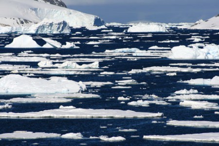 Antartide - mare presso Cuverville Island - penisola Antartica