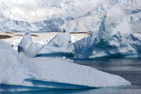Antartide - iceberg nel canale di Neumayer - Penisola Antartica