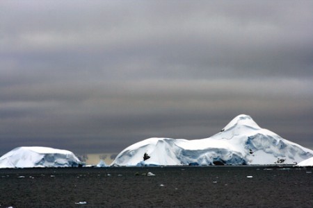 Antartide - penisola Antartica