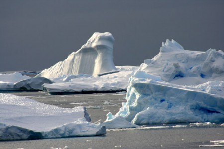 Antartide - iceberg penisola Antartica