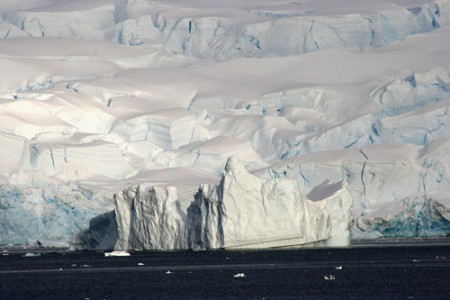 Antartide - fronte di ghiacciaio penisola Antartica