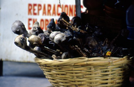 La Paz - mercado de Hechiceria