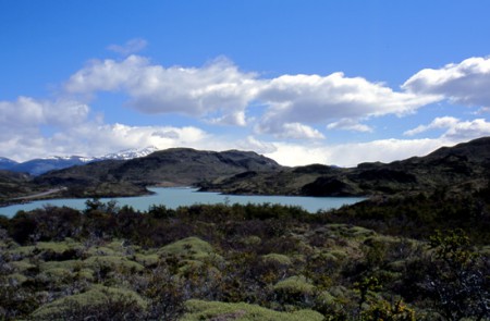  - P. N. Torri del Paine - Patagonia
