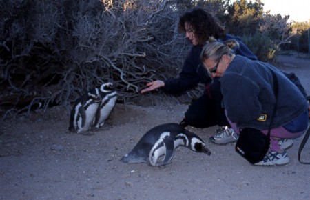 Ila e Mavi - riserva naturale di Punta Tombo