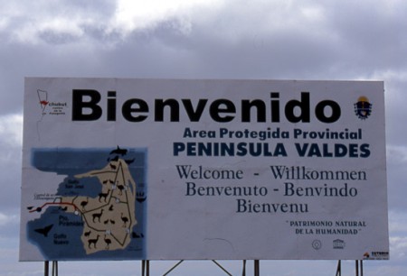 bienvenido penisula Valdes