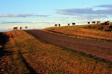 tramonto sulla ruta 40 - Patagonia 