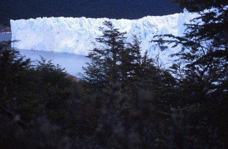 ghiaccio Perito Moreno, P. N. los Glaciares - Patagonia