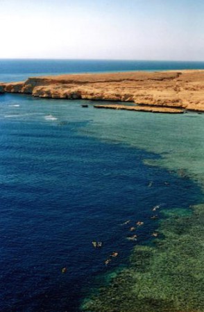 snorkelling a Ras Mohamed