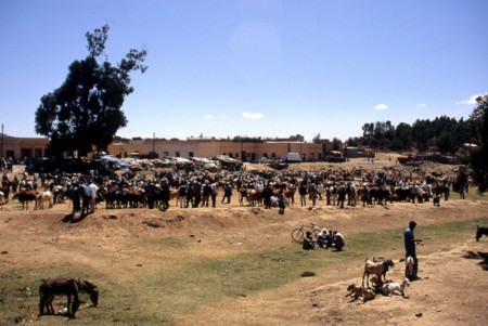 Keren - tipico mercato africano