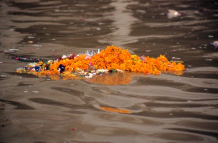 collana di fiori - fiume Gange