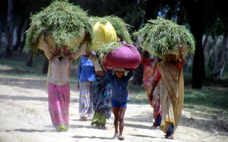 ... India on the road