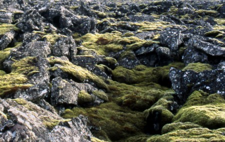 penisola di Reykianes