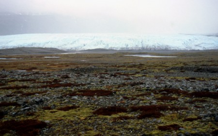 fronte del ghiaccio Svinafellsjokull