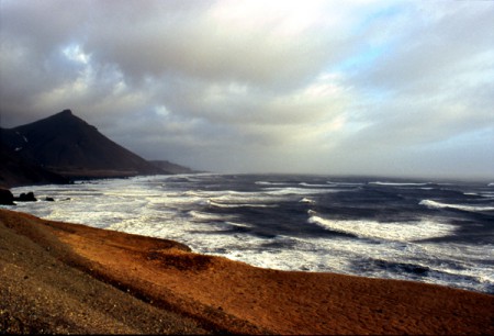 ring road - tratto di costa presso Djupivogur