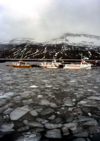 mare ghiacciato a Breiddalsvik