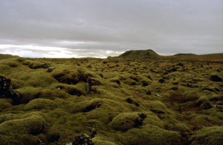 paesaggio tipico islandese