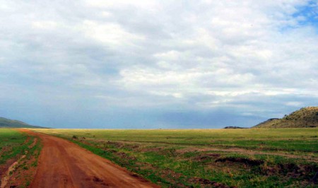 Masai Mara Reserve - pista interna del parco