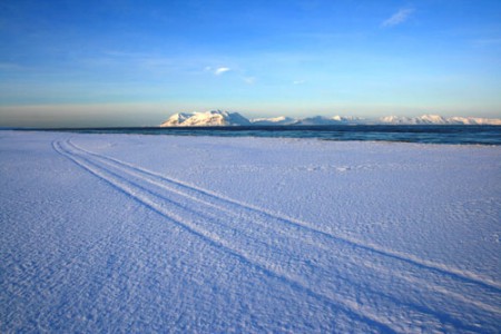 Svalbard - Isfjorden