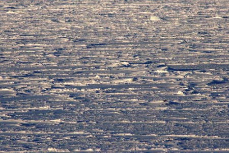 Svalbard - Tempelfjorden (pack)