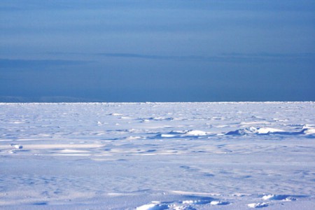 Svalbard - Spitsbergen (costa orientale) banchisa