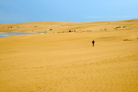 dune di Valizas
