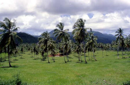 paesaggio dell'interno