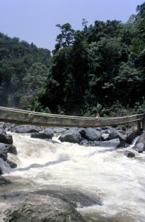 ponte di corda- escursione El Limon
