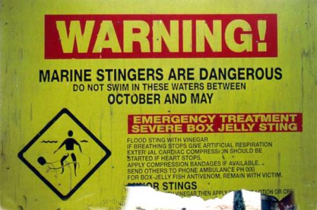 attenzione pericolo meduse - Airlie Beach