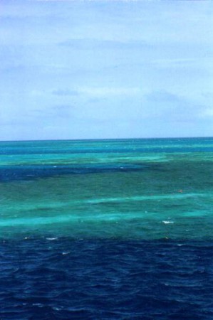 Hook Reef - la Grande Barriera Corallina 