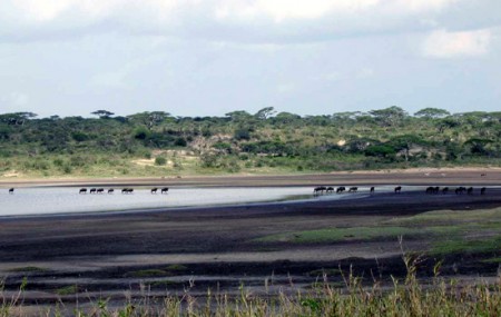 Serengeti National Park - Lake Ndutu