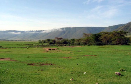 Nogorongoro Crater