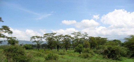 Nogorongoro Crater